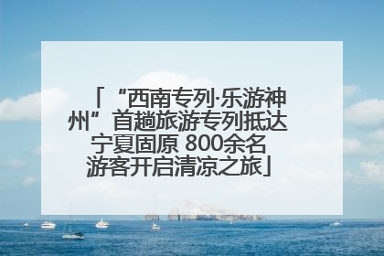 “西南专列·乐游神州”首趟旅游专列抵达宁夏固原 800余名游客开启清凉之旅