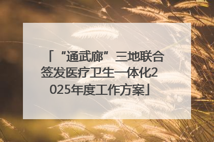 “通武廊”三地联合签发医疗卫生一体化2025年度工作方案