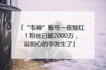 “韦神”账号一夜爆红！粉丝已破2000万，最担心的事发生了