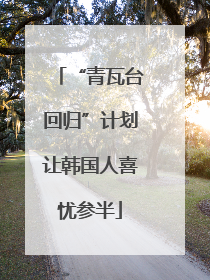 “青瓦台回归”计划让韩国人喜忧参半