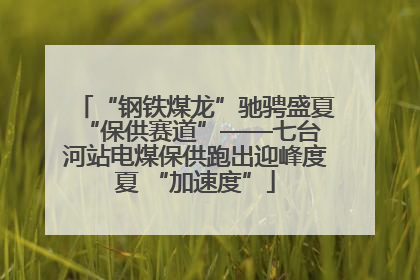 “钢铁煤龙”驰骋盛夏 “保供赛道”——七台河站电煤保供跑出迎峰度夏 “加速度”