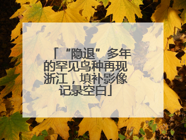 “隐退”多年的罕见鸟种再现浙江，填补影像记录空白