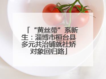 “黄丝带”系新生：淄博市桓台县多元共治铺就社矫对象回归路