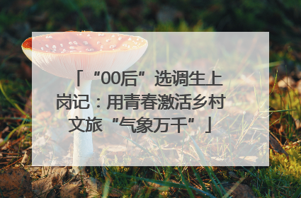 “00后”选调生上岗记：用青春激活乡村文旅“气象万千”