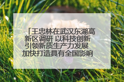 王忠林在武汉东湖高新区调研 以科技创新引领新质生产力发展 加快打造具有全国影响力的科技创新高地