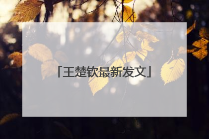 王楚钦最新发文