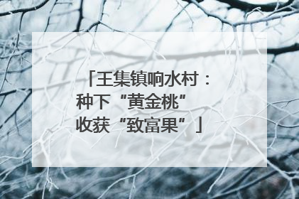 王集镇响水村：种下“黄金桃” 收获“致富果”