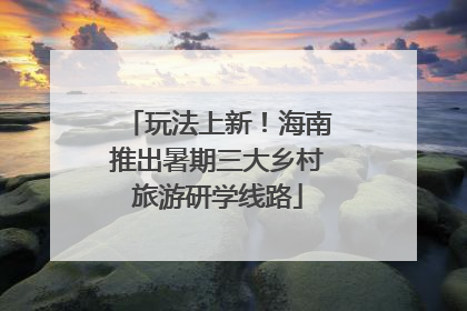 玩法上新！海南推出暑期三大乡村旅游研学线路
