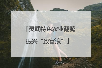 灵武特色农业翻腾振兴“致富浪”