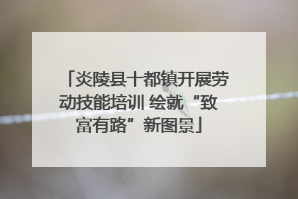 炎陵县十都镇开展劳动技能培训 绘就“致富有路”新图景