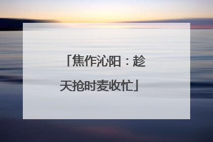 焦作沁阳：趁天抢时麦收忙