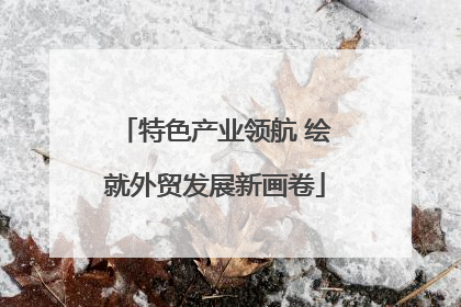 特色产业领航 绘就外贸发展新画卷