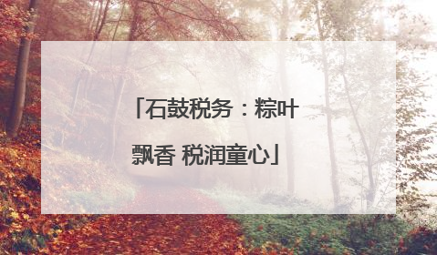 石鼓税务：粽叶飘香 税润童心