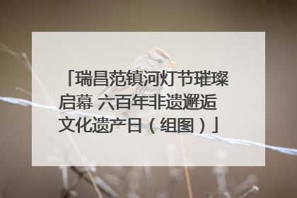 瑞昌范镇河灯节璀璨启幕 六百年非遗邂逅文化遗产日（组图）