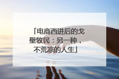 电商西进后的戈壁牧民：另一种，不荒凉的人生