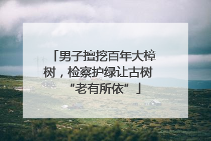 男子擅挖百年大樟树，检察护绿让古树“老有所依”