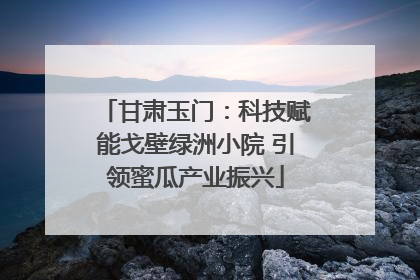 甘肃玉门：科技赋能戈壁绿洲小院 引领蜜瓜产业振兴