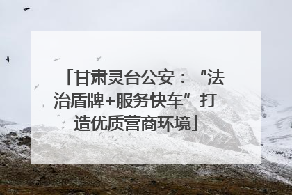 甘肃灵台公安：“法治盾牌+服务快车”打造优质营商环境