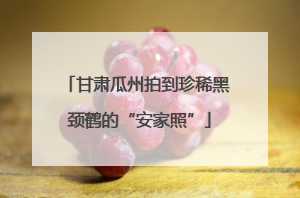 甘肃瓜州拍到珍稀黑颈鹤的“安家照”