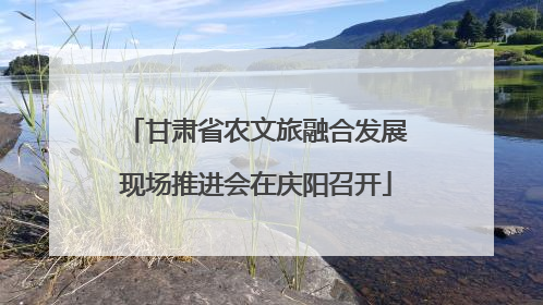 甘肃省农文旅融合发展现场推进会在庆阳召开