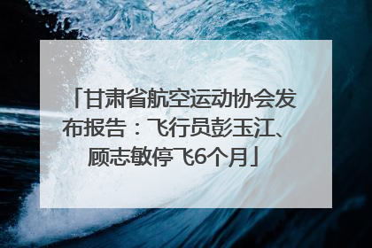 甘肃省航空运动协会发布报告：飞行员彭玉江、顾志敏停飞6个月