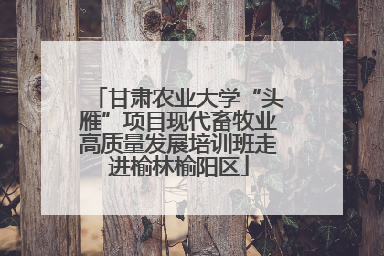 甘肃农业大学“头雁”项目现代畜牧业高质量发展培训班走进榆林榆阳区