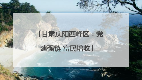 甘肃庆阳西峰区：党建强链 富民增收