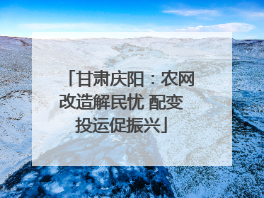 甘肃庆阳：农网改造解民忧 配变投运促振兴