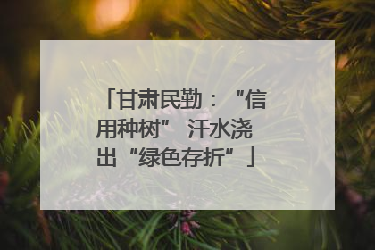 甘肃民勤：“信用种树” 汗水浇出“绿色存折”