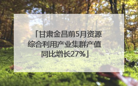 甘肃金昌前5月资源综合利用产业集群产值同比增长27%