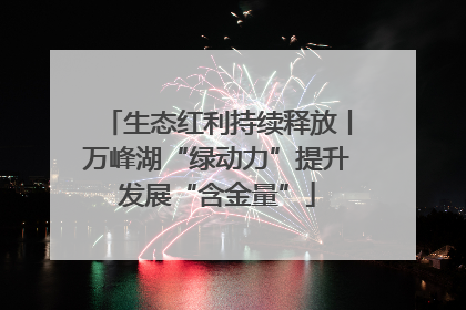 生态红利持续释放丨万峰湖“绿动力”提升发展“含金量”