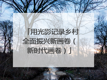 用光影记录乡村全面振兴新画卷（新时代画卷）
