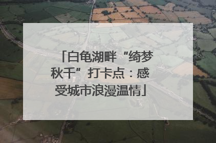 白龟湖畔“绮梦秋千”打卡点：感受城市浪漫温情