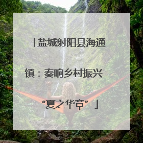 盐城射阳县海通镇：奏响乡村振兴“夏之华章”