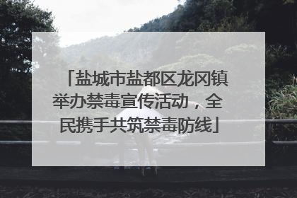 盐城市盐都区龙冈镇举办禁毒宣传活动，全民携手共筑禁毒防线