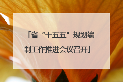 省“十五五”规划编制工作推进会议召开