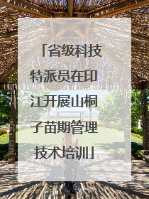 省级科技特派员在印江开展山桐子苗期管理技术培训