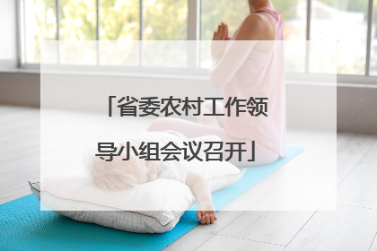 省委农村工作领导小组会议召开