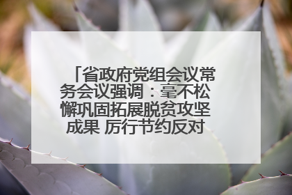 省政府党组会议常务会议强调：毫不松懈巩固拓展脱贫攻坚成果 厉行节约反对浪费弘扬优良作风