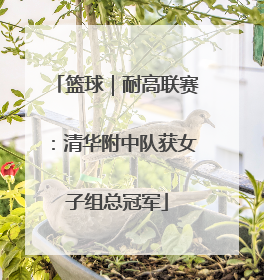 篮球｜耐高联赛：清华附中队获女子组总冠军