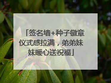 签名墙+种子徽章仪式感拉满，弟弟妹妹暖心送祝福