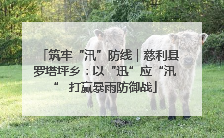 筑牢“汛”防线｜慈利县罗塔坪乡：以“迅”应“汛” 打赢暴雨防御战