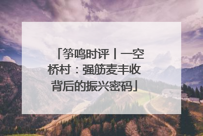 筝鸣时评丨一空桥村：强筋麦丰收背后的振兴密码