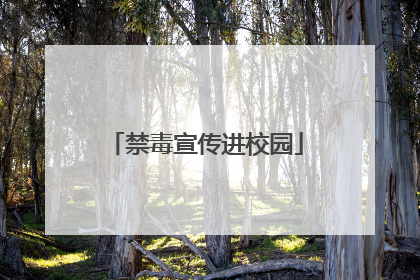禁毒宣传进校园