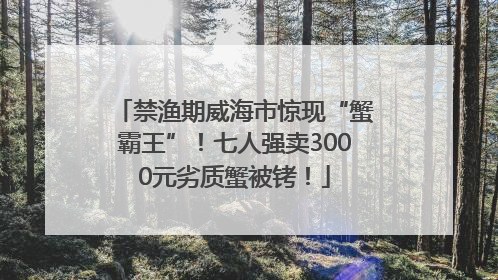 禁渔期威海市惊现“蟹霸王”！七人强卖3000元劣质蟹被铐！