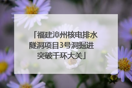 福建漳州核电排水隧洞项目3号洞掘进突破千环大关