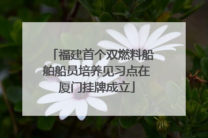 福建首个双燃料船舶船员培养见习点在厦门挂牌成立