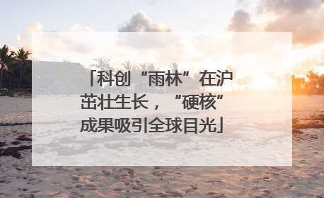 科创“雨林”在沪茁壮生长，“硬核”成果吸引全球目光