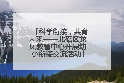 科学衔接，共育未来——北碚区龙凤教管中心开展幼小衔接交流活动