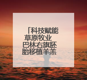 科技赋能草原牧业 巴林右旗胚胎移植羊羔茁壮成长